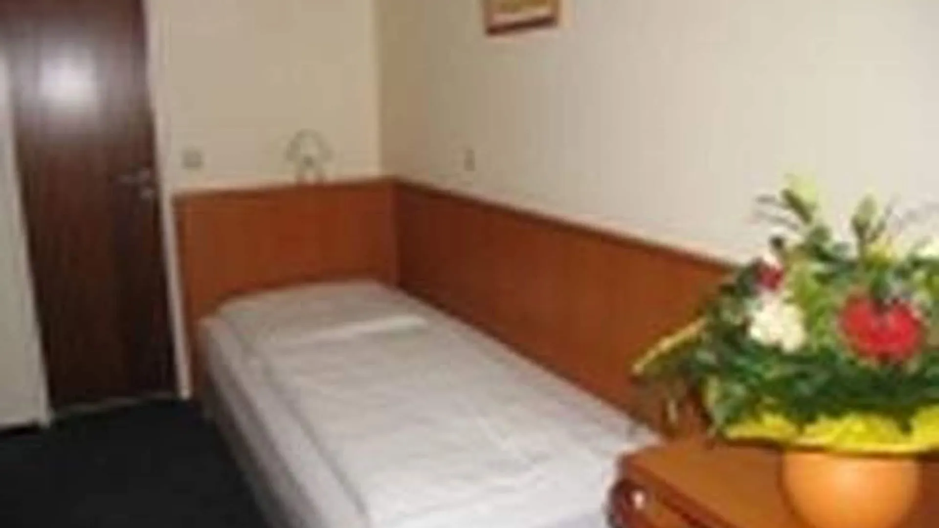Hotel Terminus Am Hauptbahnhof & Zob Hamburgo 2*,